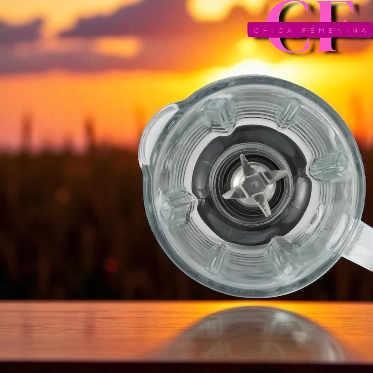 LICUADORA VISTA VASO DE CRISTAL VB-279