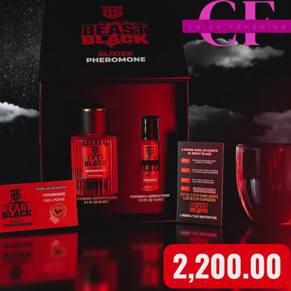 BEAST BLACK